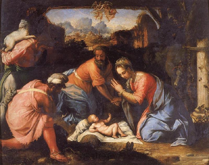 Francesco Salviati The Adoration of the Shepherds Spain oil painting art